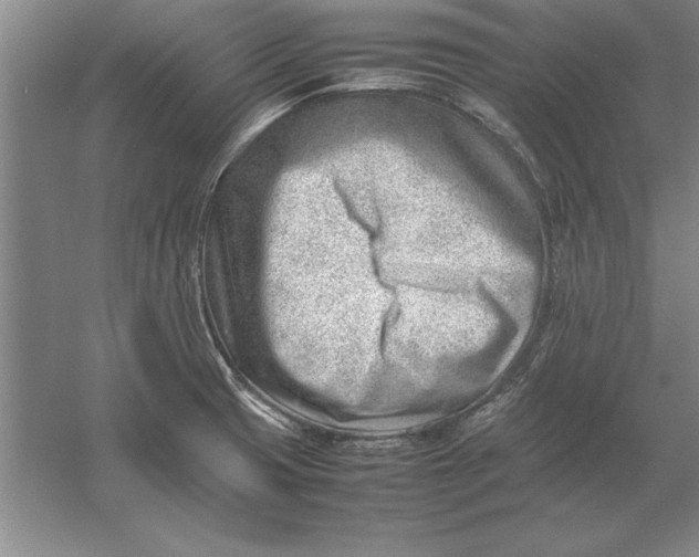 X0000054431425200508192112