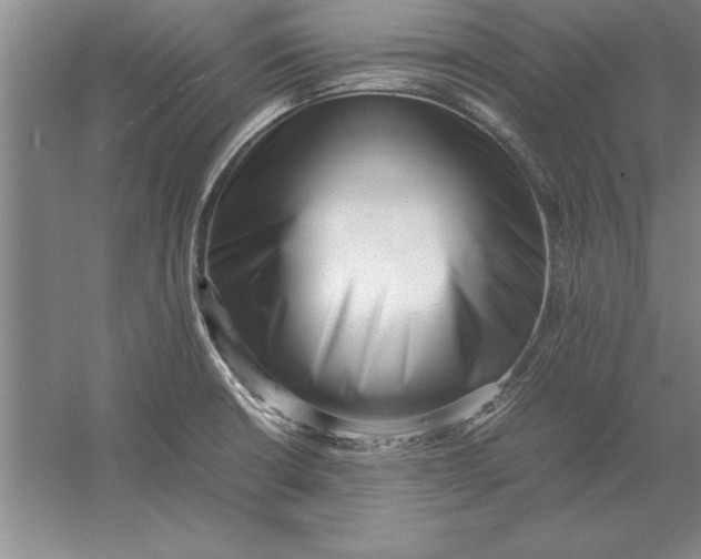 X0000054431426200508192112