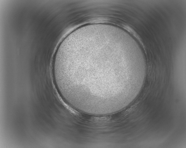 X0000054431429200508192112