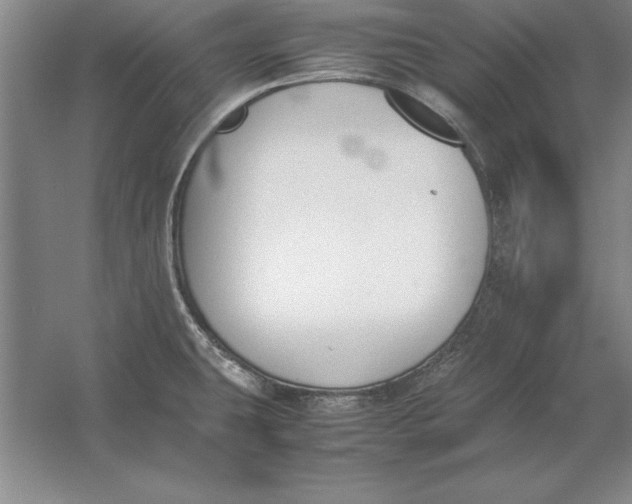 X0000054431431200508192112