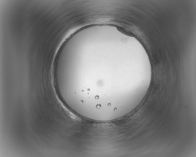 X0000054431432200508192112