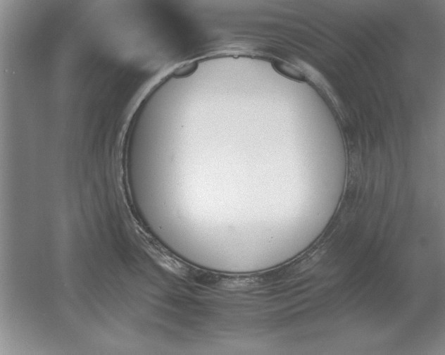 X0000054431435200508192112