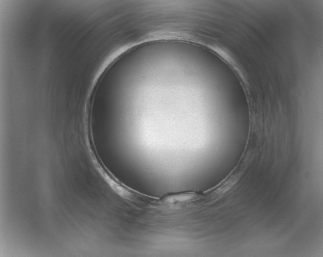 X0000054431438200508192112