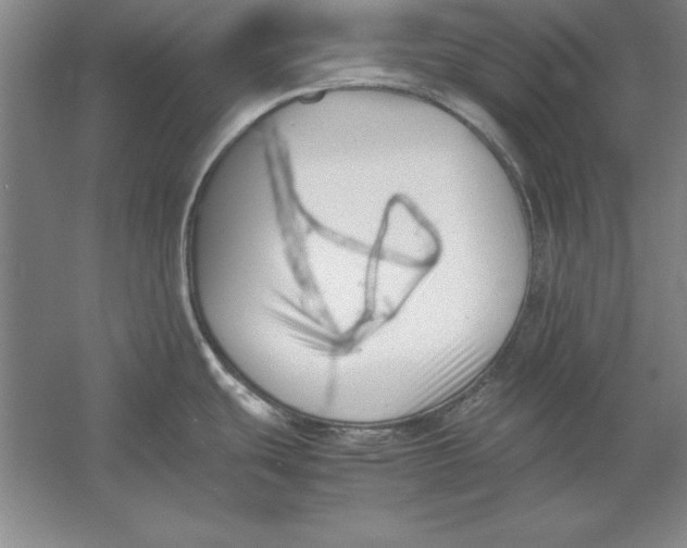 X0000054431439200508192112