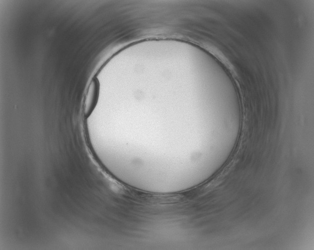 X0000054431440200508192112