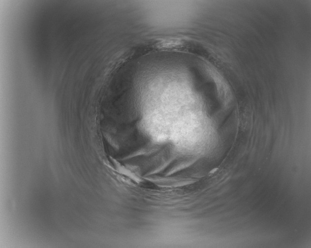 X0000054431441200508192111