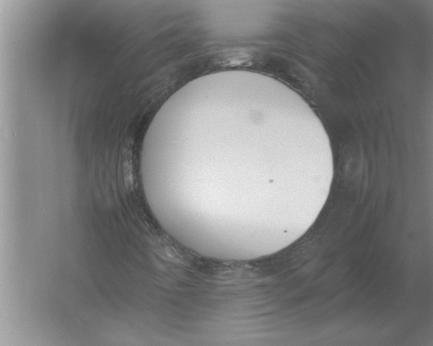 X0000054431442200508192111