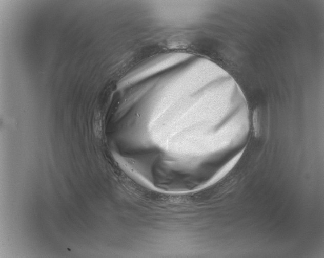 X0000054431443200508192111