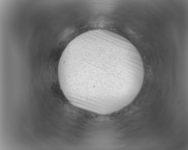 X0000054431446200508192111