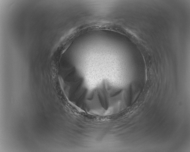 X0000054431447200508192111