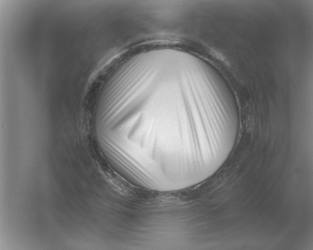 X0000054431448200508192111