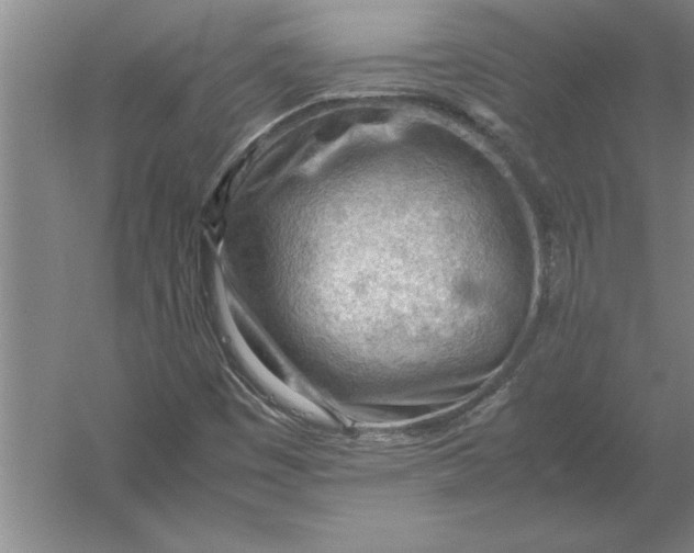 X0000054431449200508192111