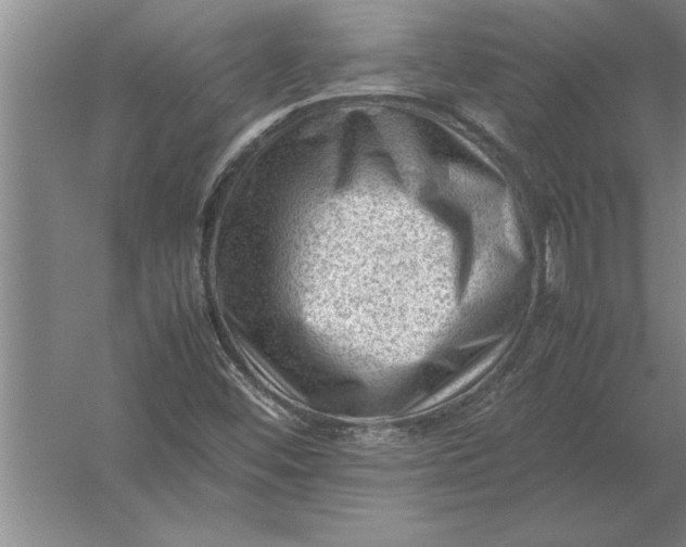 X0000054431452200508192111