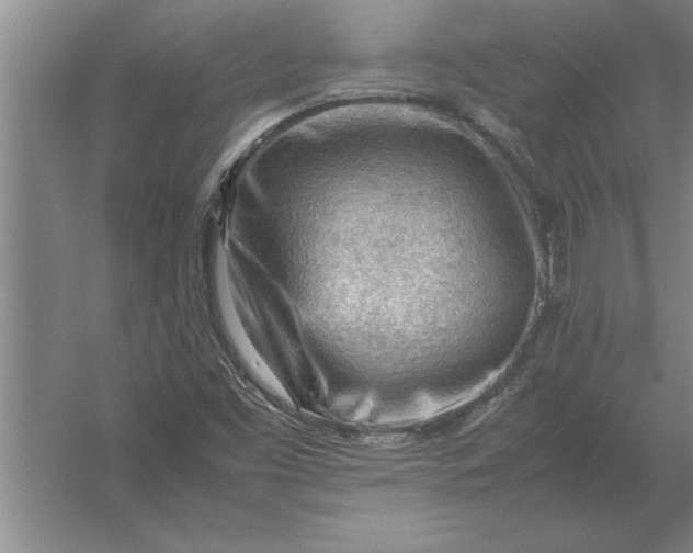 X0000054431453200508192111