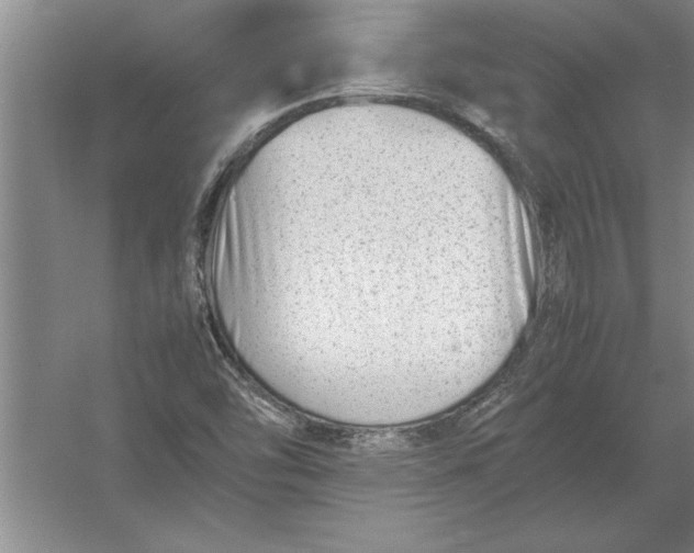 X0000054431454200508192111