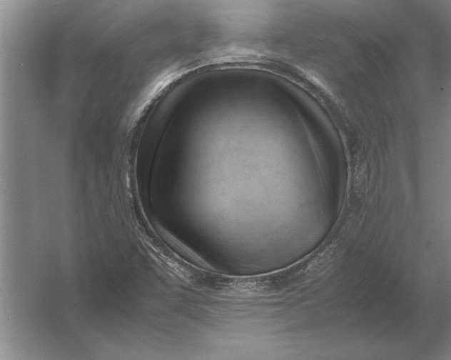 X0000054431455200508192111