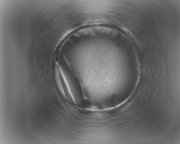 X0000054431457200508192111