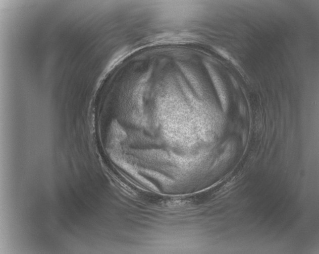 X0000054431459200508192111