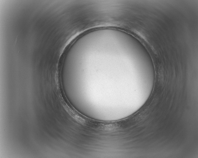 X0000054431460200508192111