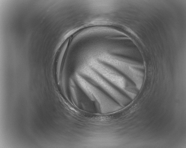 X0000054431461200508192111