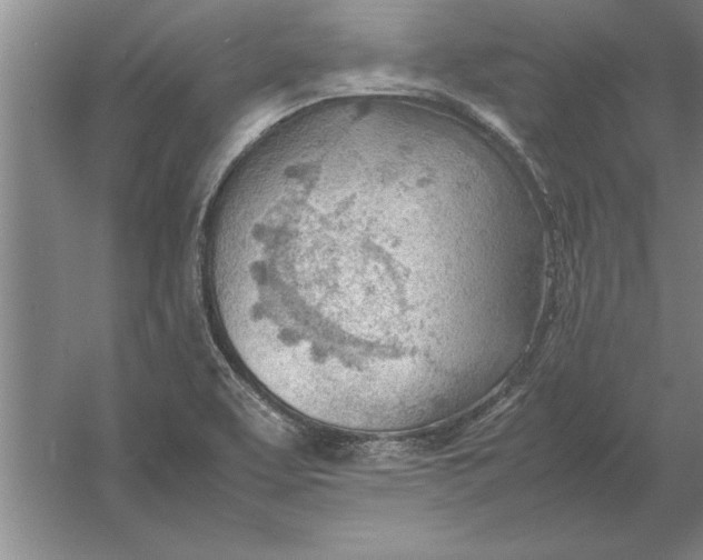 X0000054431463200508192111