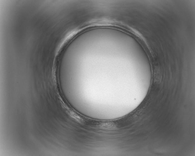 X0000054431464200508192111