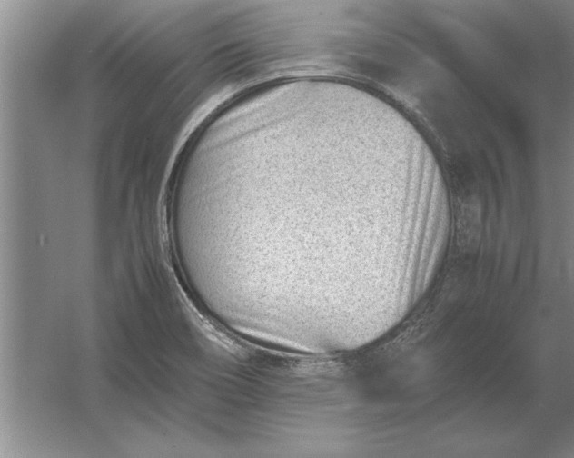 X0000054431466200508192111