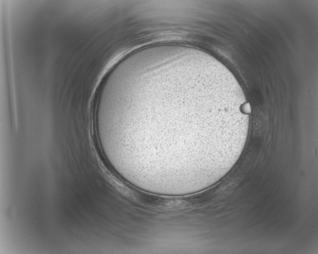 X0000054431467200508192111