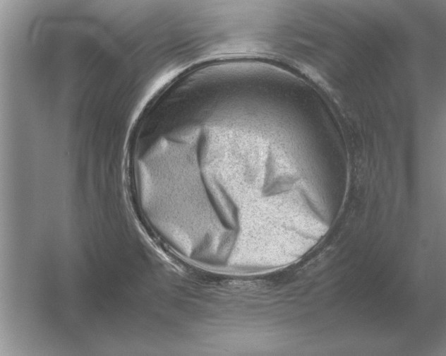 X0000054431469200508192111