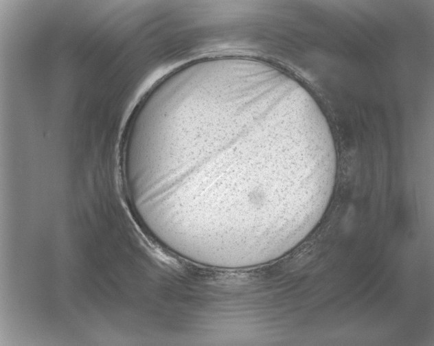 X0000054431470200508192111