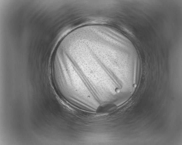 X0000054431471200508192111