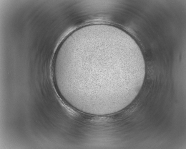 X0000054431474200508192111