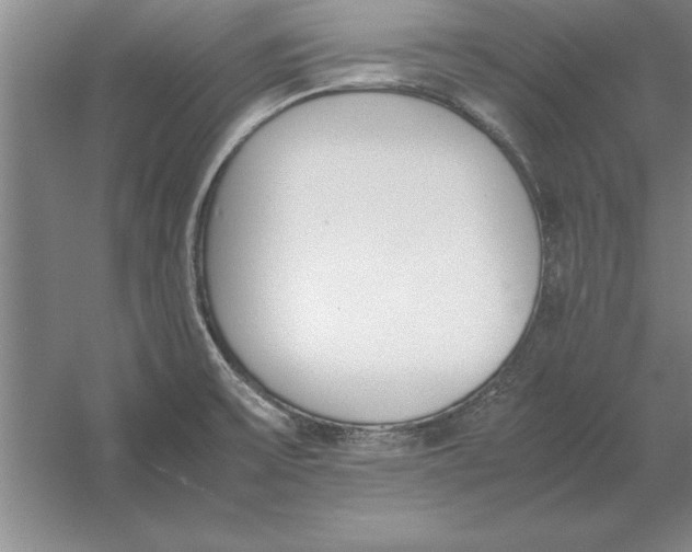 X0000054431475200508192111