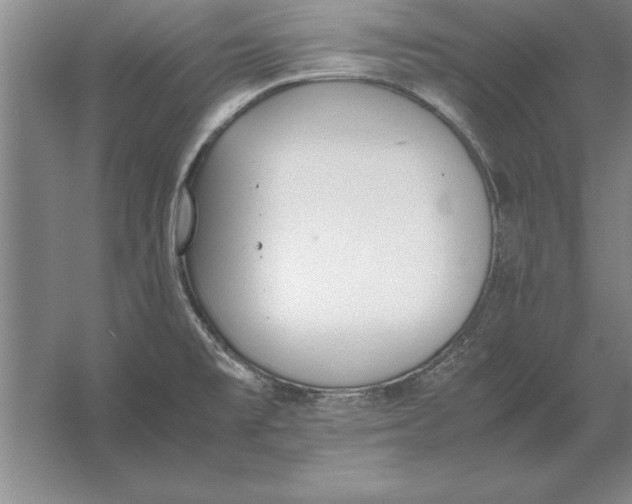 X0000054431477200508192111