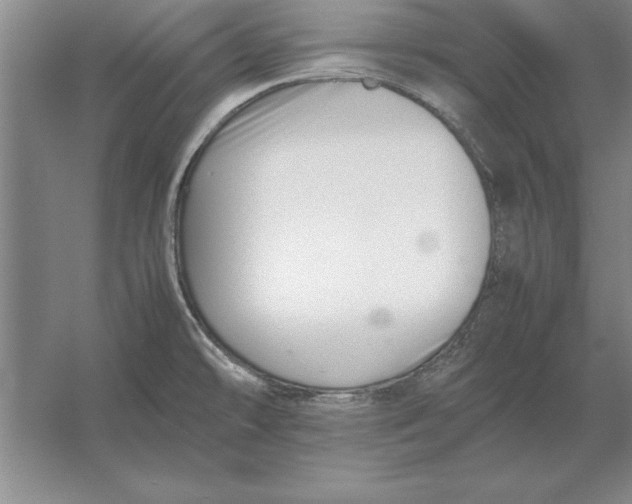 X0000054431478200508192110