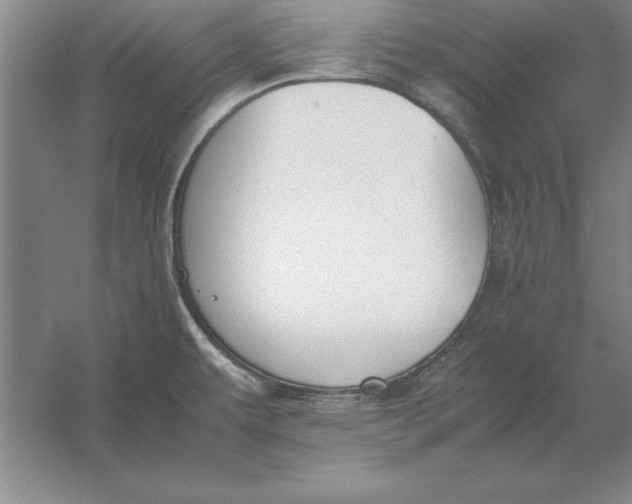 X0000054431479200508192110