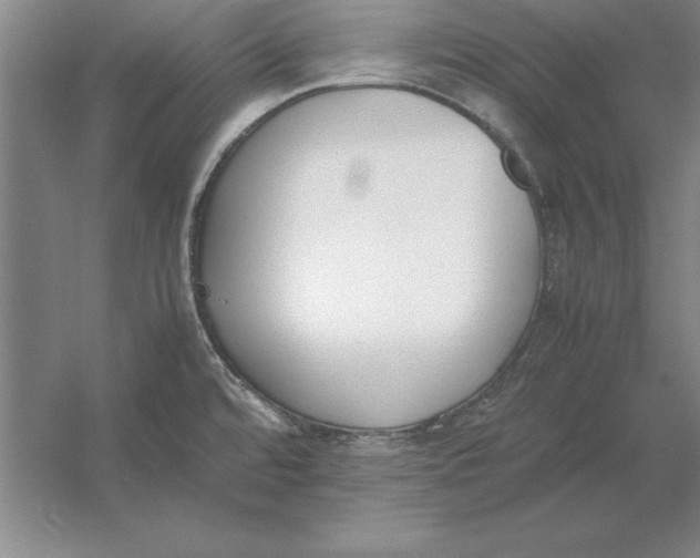 X0000054431480200508192110