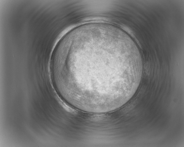 X0000054431482200508192110