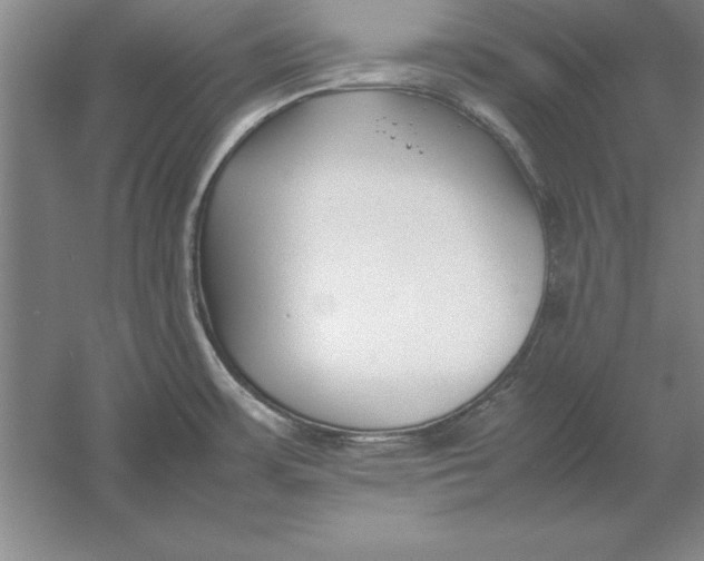 X0000054431483200508192110