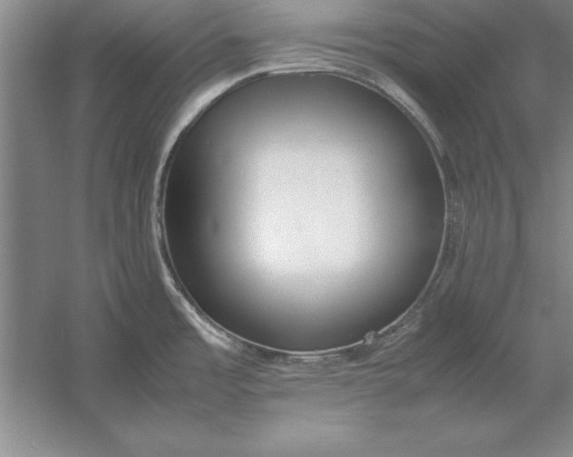 X0000054431485200508192110