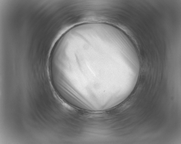 X0000054431486200508192110