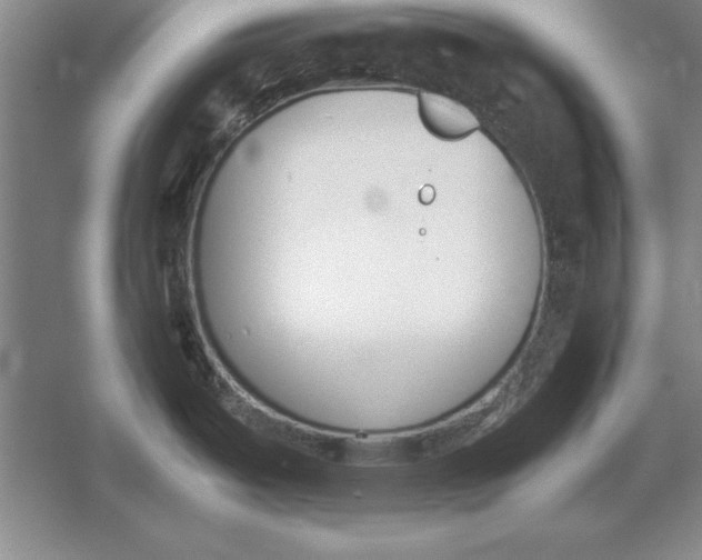 X0000054431487200508192110