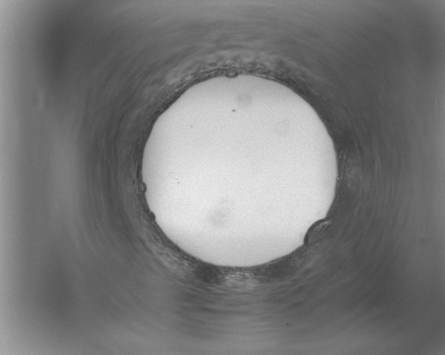 X0000054431489200508192109