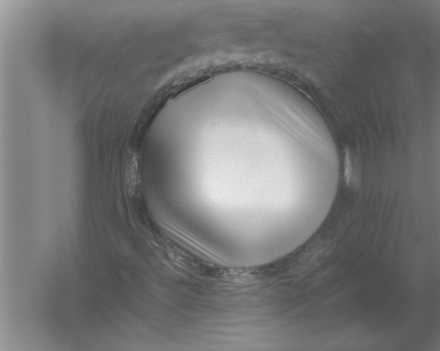 X0000054431492200508192110