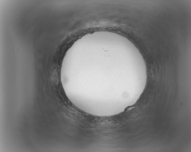 X0000054431493200508192110