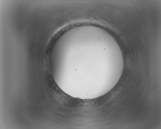 X0000054431494200508192110