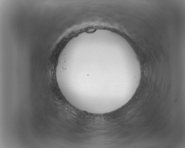 X0000054431495200508192110