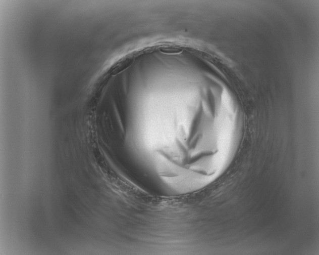 X0000054431496200508192110