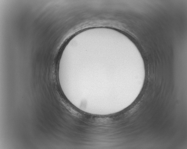 X0000054431498200508192110