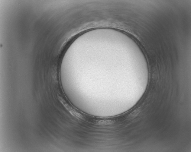 X0000054431499200508192110